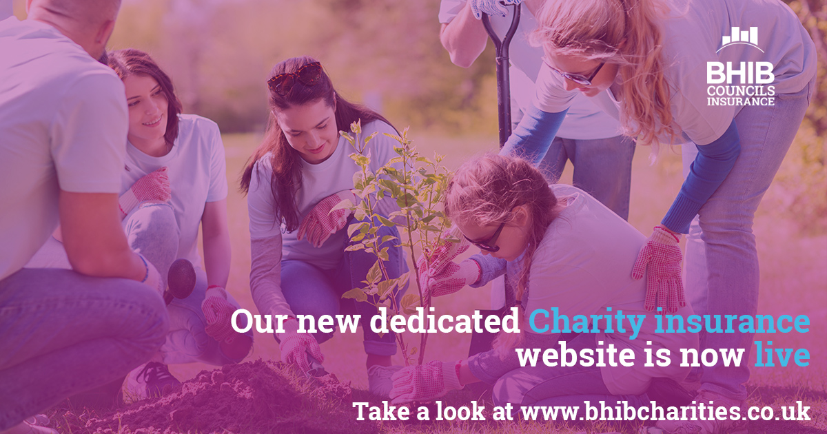 bhib charity insurance